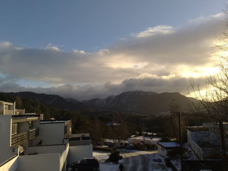 03012009636 03012009636